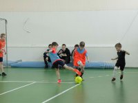IMG_9501